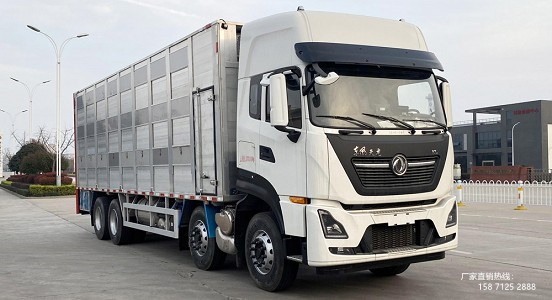 國六東風天龍前四后八鋁合金畜禽運輸車